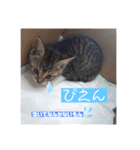 きなこ©（個別スタンプ：10）