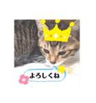 きなこ©（個別スタンプ：13）