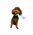 PIXY(ガラピ)（個別スタンプ：2）
