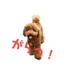 PIXY(ガラピ)（個別スタンプ：3）