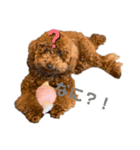 PIXY(ガラピ)（個別スタンプ：6）