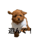 PIXY(ガラピ)（個別スタンプ：7）