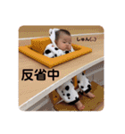 よっしーの娘で日常会話（個別スタンプ：8）