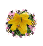 お花で遊ぼう13（個別スタンプ：12）