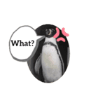 動物園 スタンプ（個別スタンプ：5）