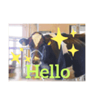 動物園 スタンプ（個別スタンプ：8）