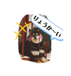 わが家のアイドル     おまめさん（個別スタンプ：7）