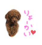 むきりょく。②（個別スタンプ：8）