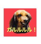 ルイとグリコと仲間たち（個別スタンプ：4）
