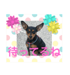 ルイとグリコと仲間たち（個別スタンプ：9）