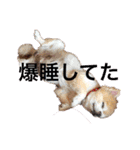 ルイとグリコと仲間たち（個別スタンプ：14）