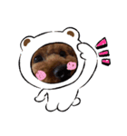 ぷふく（個別スタンプ：3）
