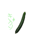 kyuuriman（個別スタンプ：1）