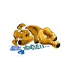 わんこからのてがみ（個別スタンプ：3）