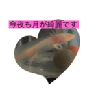 ウーパールーパーの憂白さんパート2（個別スタンプ：8）