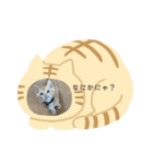 虎雄とチャトラ（個別スタンプ：8）