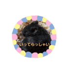 Trsk（個別スタンプ：5）