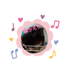 Trsk（個別スタンプ：8）