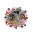Trsk（個別スタンプ：11）
