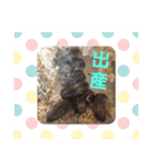 Trsk（個別スタンプ：12）