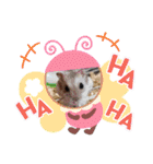 Trsk（個別スタンプ：23）