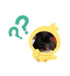 Trsk（個別スタンプ：24）