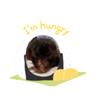 Trsk（個別スタンプ：31）