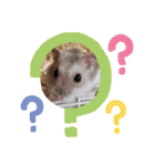 家族TRSK（個別スタンプ：33）