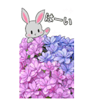 ❤️可愛いウサギ可愛いと綺麗なお花❤️（個別スタンプ：9）