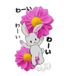 ❤️可愛いウサギ可愛いと綺麗なお花❤️（個別スタンプ：25）