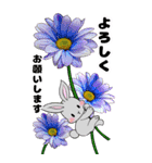 ❤️可愛いウサギ可愛いと綺麗なお花❤️（個別スタンプ：31）