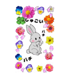 ❤️可愛いウサギ可愛いと綺麗なお花❤️（個別スタンプ：33）