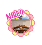 ゴルちゃんネコちゃんとの生活（個別スタンプ：14）
