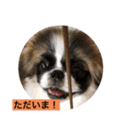 ペキニーズと幸せ（個別スタンプ：2）