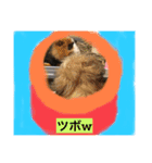 ペキニーズと幸せ（個別スタンプ：5）