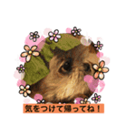 ペキニーズと幸せ（個別スタンプ：7）