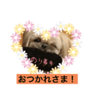 ペキニーズと幸せ（個別スタンプ：10）