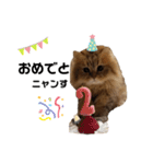 wutengshengli4（個別スタンプ：14）
