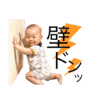 Everyday Ao④（個別スタンプ：36）