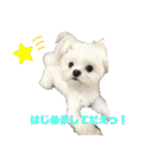 まぐまぐシリーズ（個別スタンプ：12）