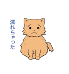 にゃうみゃうスタンプ（個別スタンプ：2）