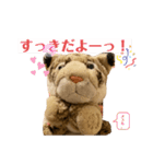 くま吉、念願のスタンプデビュー（個別スタンプ：3）