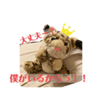 くま吉、念願のスタンプデビュー（個別スタンプ：4）