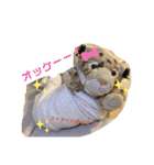 くま吉、念願のスタンプデビュー（個別スタンプ：7）