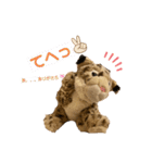 くま吉、念願のスタンプデビュー（個別スタンプ：9）
