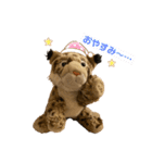 くま吉、念願のスタンプデビュー（個別スタンプ：13）