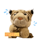 くま吉、念願のスタンプデビュー（個別スタンプ：20）
