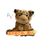 くま吉、念願のスタンプデビュー（個別スタンプ：21）