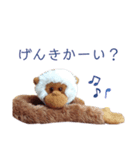 さるちゃんオリジナルスタンプ（個別スタンプ：3）