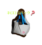 BooKiKiスタンプ（個別スタンプ：4）